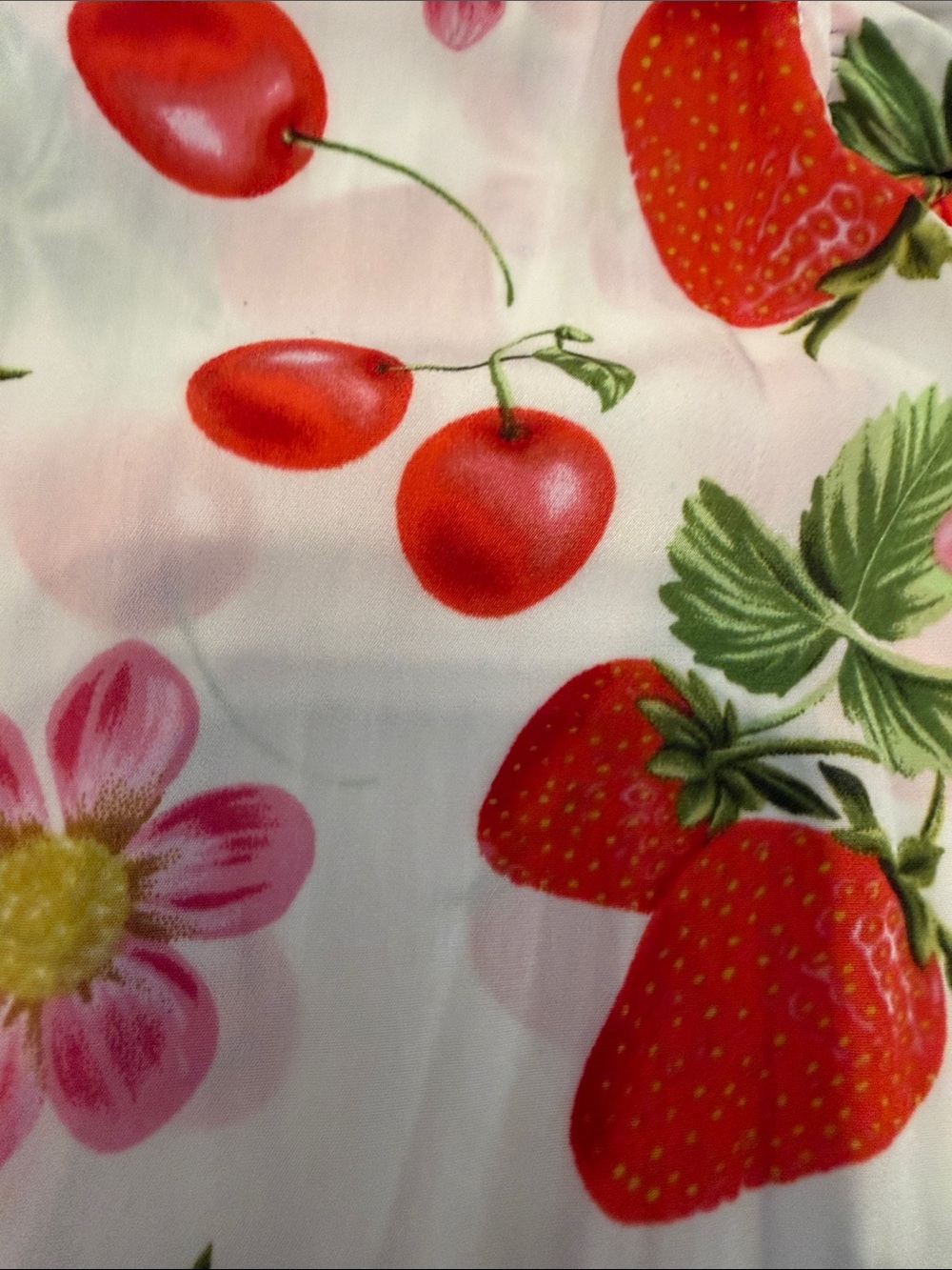 NWT Rose & Olive White Strawberry & Cherry Ruffle Sleeve Button Front Top M - Picture 2 of 4